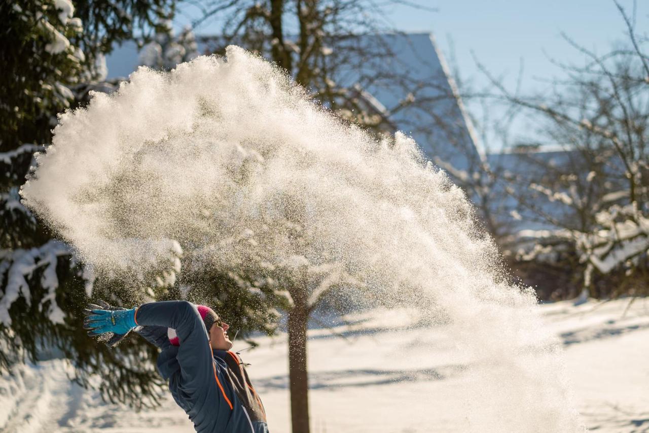 Ferienhof Homann Sauerland Brilon Exteriör bild
