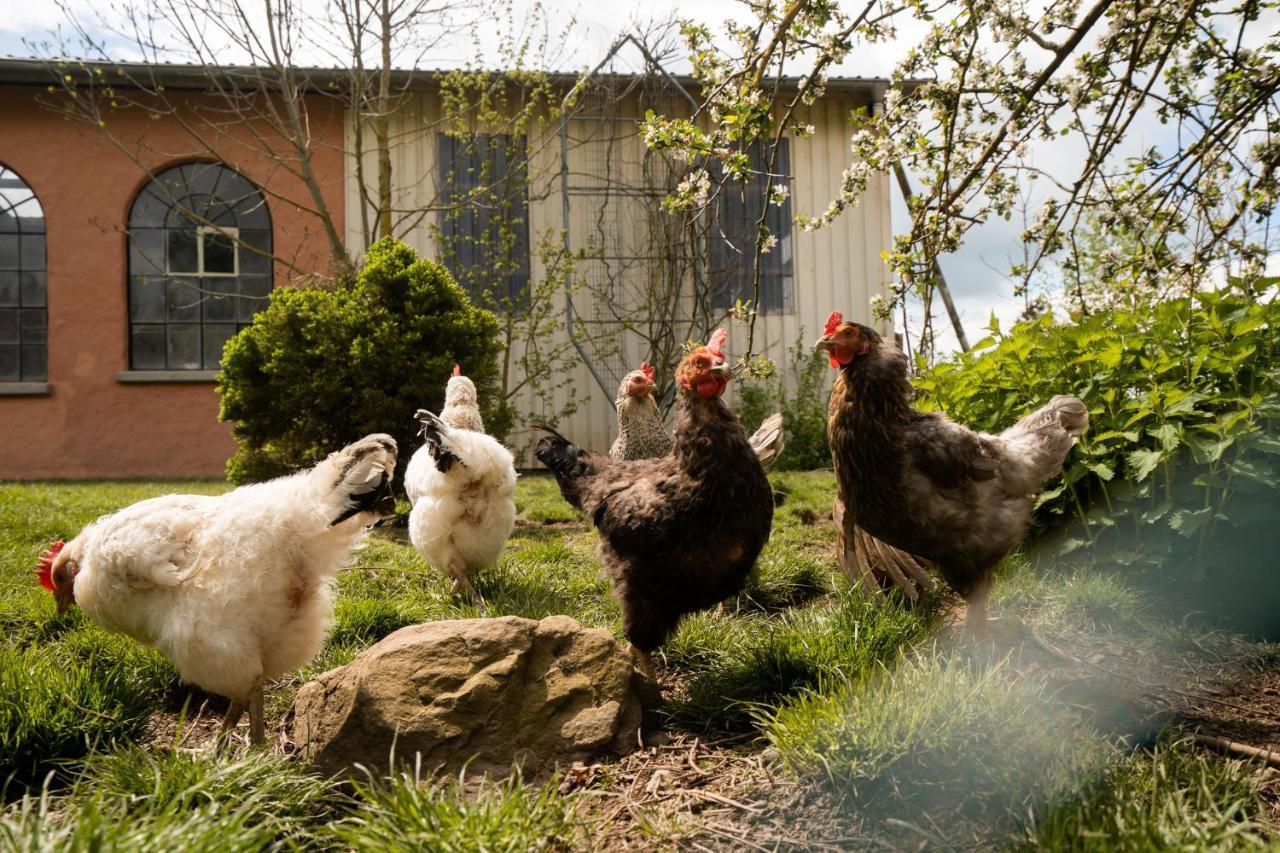 Ferienhof Homann Sauerland Brilon Exteriör bild
