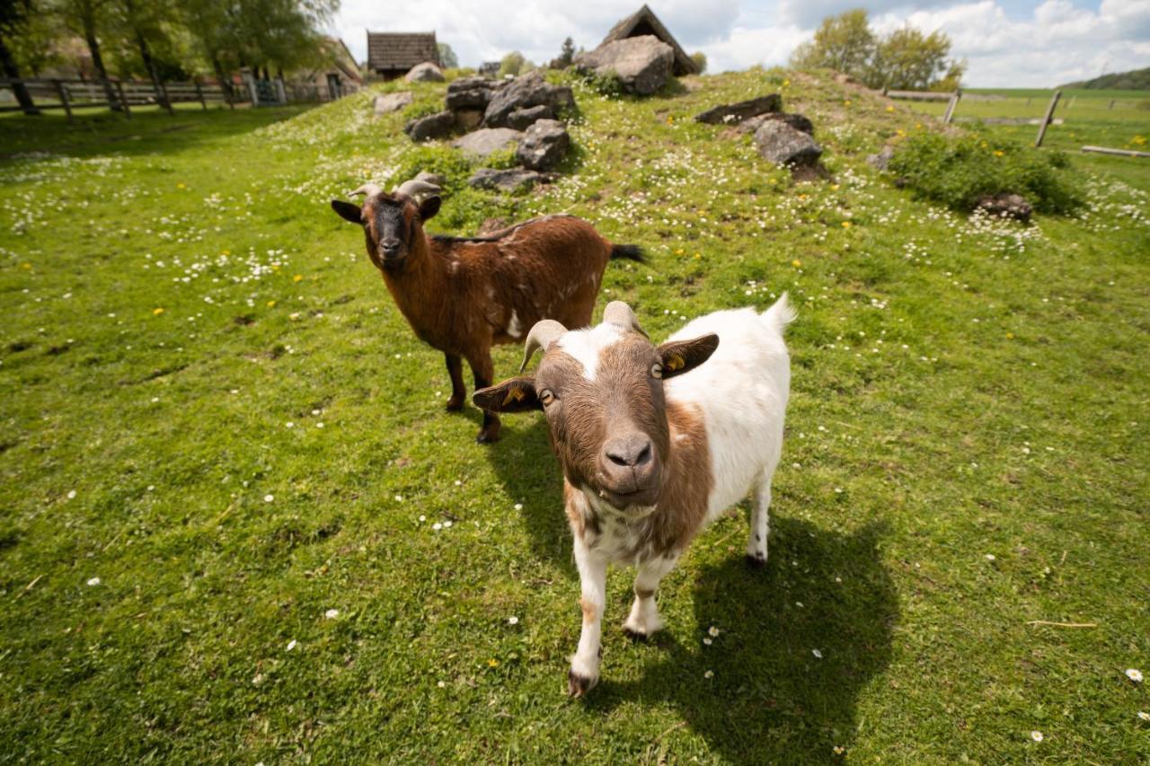Ferienhof Homann Sauerland Brilon Exteriör bild
